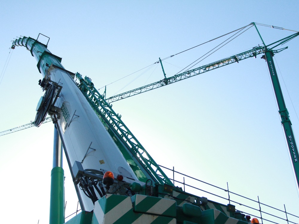 Green Crane from Below